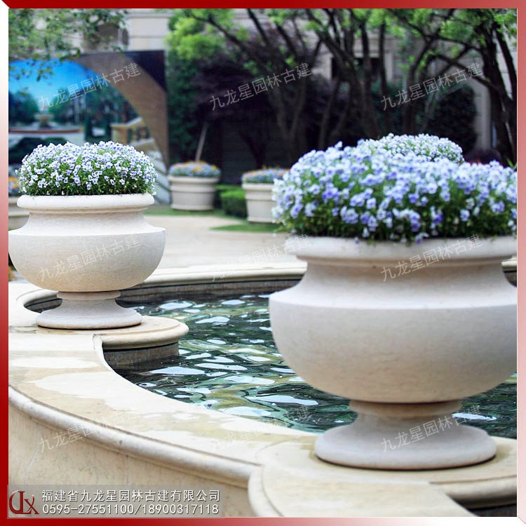 埃及米黃花缽圖片